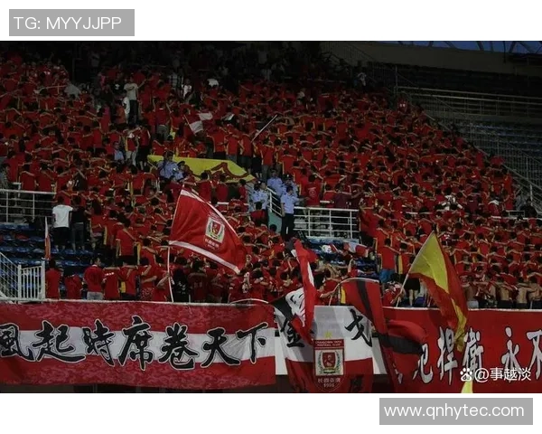 武汉乒乓球队速度之争引发热议球迷与专家各执己见